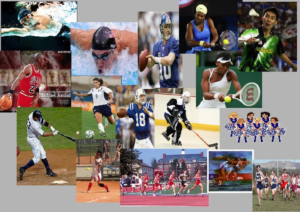 graphic of many sports